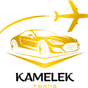 Logo website